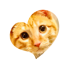 sachi_20250801231706