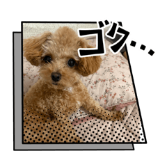 Hwang fun_20250802233327