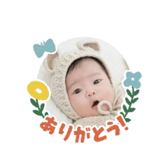 koto_20250803011704