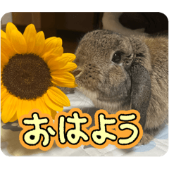 tarutaru_20250802162750