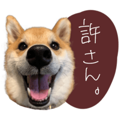 akane_20250802164244