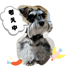 natsu_20250803090620