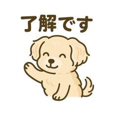 yumi_20250803092932