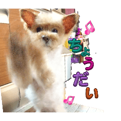 h_20250803091143