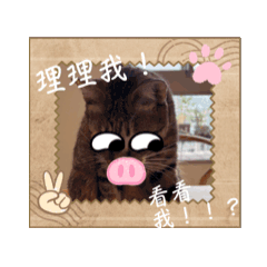 栗子QQ