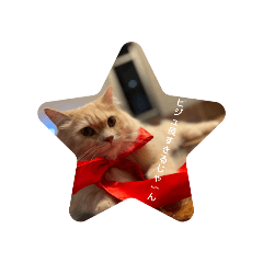 omochi_20250802215050