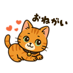 tommy_20250802235519