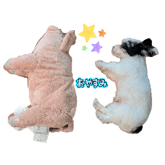 akane_20250803115927