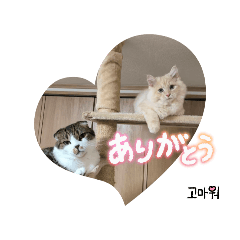 Misaki_20250802111012