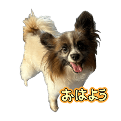 ayurin_20250802115700