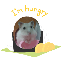 可愛鼠寶寶米菲公主貼圖