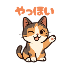 tommy_20250802125059