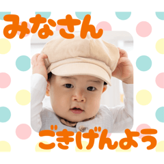 koto_20250802125841