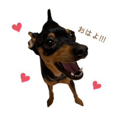 Duke_20250802142517