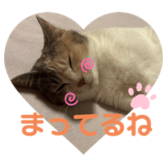 mizuki_20250802142548