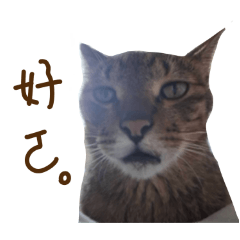 古力力力力力 完全版