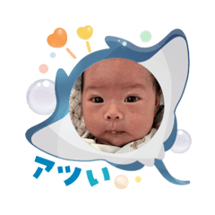 ringo_20250803144059