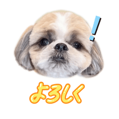 sakura_20250803145746