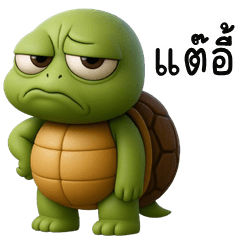 Cheeky Turtle (Kum-muang)