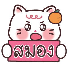 Orange cat, cute, can be used every day