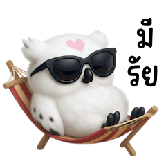 Owl from the Land of Magic