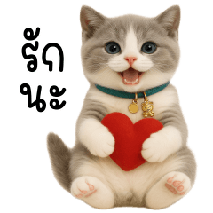 Cat grey&white tuatung