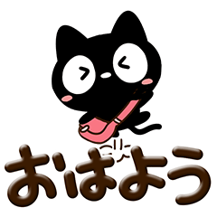 Very cute black cat164