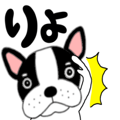 French bulldog buruchan48