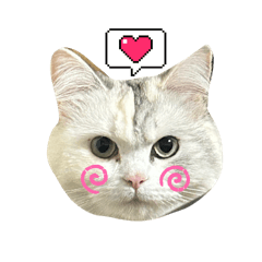 sugar_20250802183255