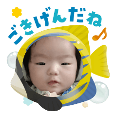 pochi_20250803133710