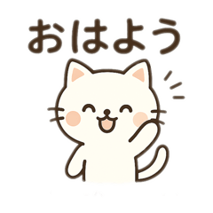 Everyday Words of a Cute Cat