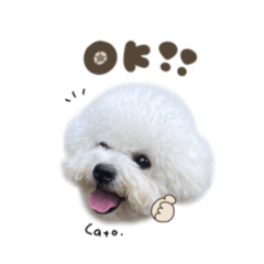 uchinoko_honpo._20250801131518