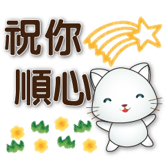 可愛白貓❤️日常實用貼