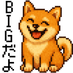 BIG！柴犬のドットスタンプ☆豆柴