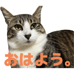 shizuku_20250801161020