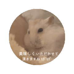 Sakura_20250803215955