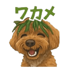 Himoyan_20250801182039