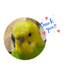 Hayato_20250802205601