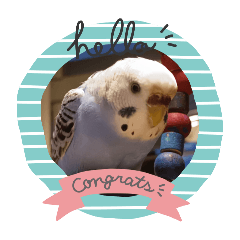 mahiro_20250801210458