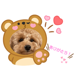 marina_20250803112541