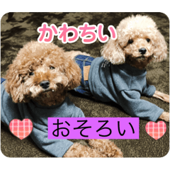 suzu_20250803194250