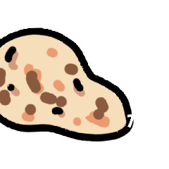 ririkaeru_20250803134655