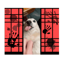 Puppy Cherry Life9