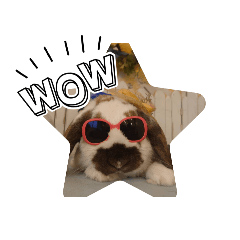 koyukoyukoyukoyu