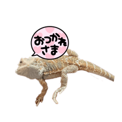 nkgm