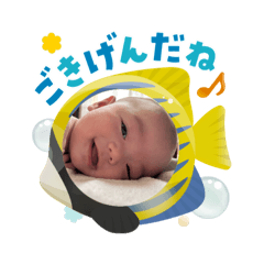 emi_20250803124944