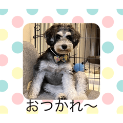 rei_20250803172749