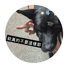 郭淑華專屬