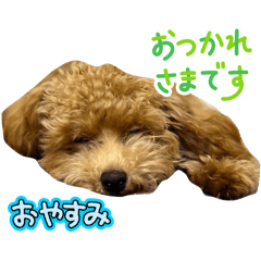 sakura_20250803131218