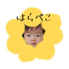 oto dechu maru2 20250803